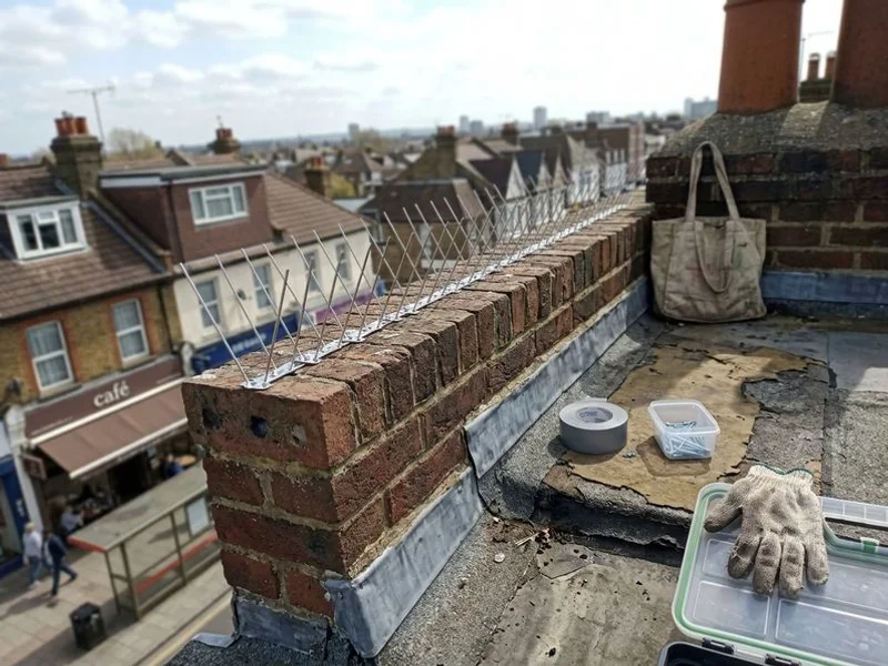 Anti-roosting spikes fitted along a shop parapet in Surbiton